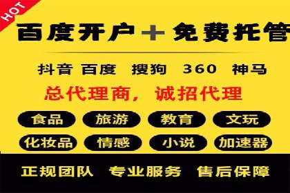 百度竞价推广运营实战技巧与经典案例剖析